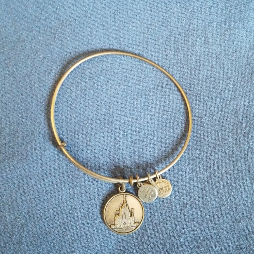 Alex and Ani Disney Magic Kingdom